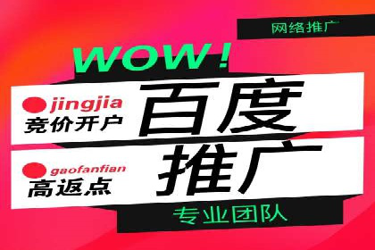谷歌竞价案例：提升品牌知名度的广告投放